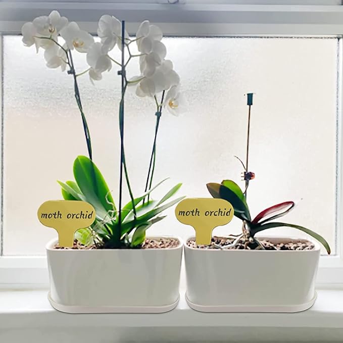 20 Set Window Herb Planter Box Rectangular,8.5x3.5 Inch White Plastic Planters with Multiple Drainage Holes and Trays,Indoor Succulent Cactus Mint Flower Pot for Windowsill,Garden Balcony