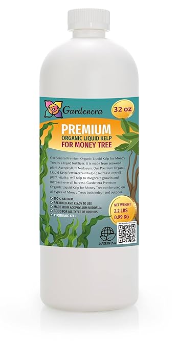 Money Tree Superfood - 32 oz - Premium Liquid Kelp Fertilizer for Stunning Money Tree Displays