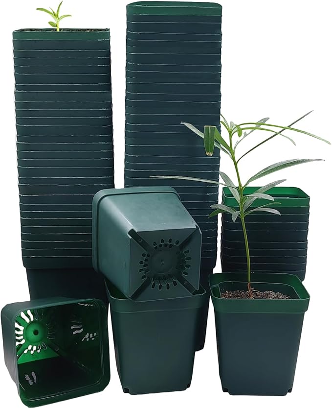 Square Nursery Seedling Pot 3.5 Inches 90 Pcs, Small Nursery Pot Plastic Thick and Sturdy Seed Start Germination Pot for Plant Propagation and Seeding(Green,3.54 Inches, 90Pcs)