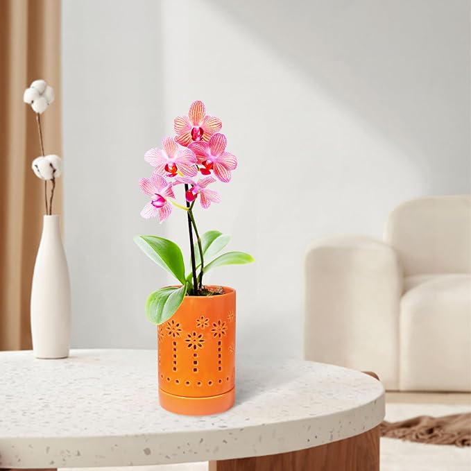 4 Inch Orchid Pot, Ceramic Orchid Pot for Repotting With Saucers, Orchid Pots With Holes More Ventilation hole Easy breathing, Plant Pot for Repotting Orchids and Other Flowers - Indoor/Outdoor Orange