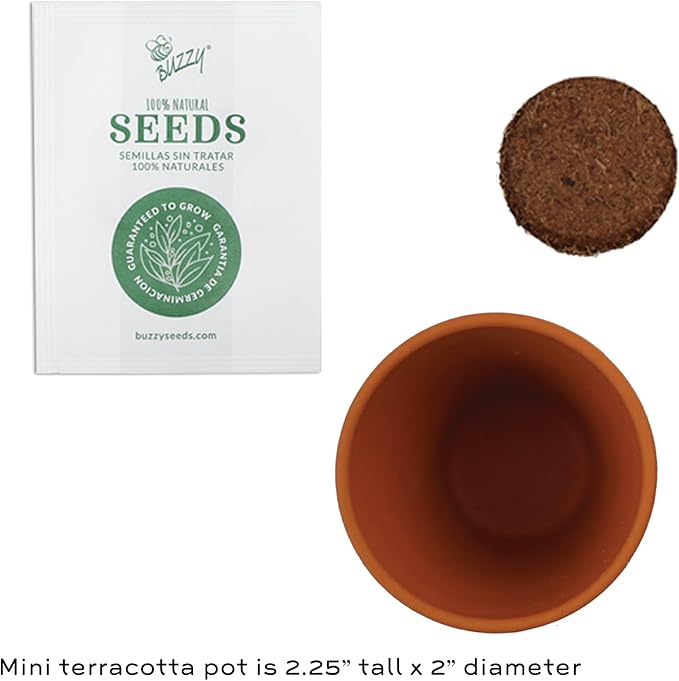 BUZZY Seeds Terracotta Mini Grow Pots | Herb, Plant, Flower Starter Kit for Kids & Adults | Assorted 12-Pack, Poppy | Guaranteed to Grow | Best Indoor Grow Your Own Plant Gardening Gift