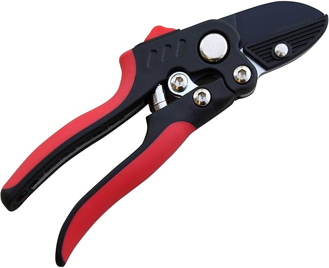 TABOR TOOLS S852A Anvil Hand Pruner with Compound Action, Makes Clean Cuts. Professional Sharp Secateurs, Pruning Shears, Garden Shears, Clippers for the Garden.