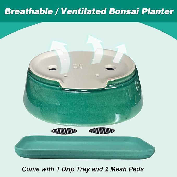 MUZHI 9” Glazed Oval Green Bonsai Planter Pot with Humidity Tray, Classic Neat Ice Crack Long Bonsai Tree Succulent Plant Pot with Saucer