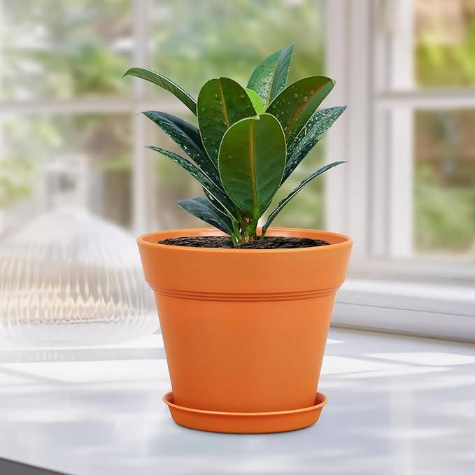 4 inch Small Plastic Nursery Pots, Seedling Pots, 16 Pack Plant Pots for Indoor Outdoor Plants, Flower Pots with Drainage Holes and Saucers, Decorative Planters for House Plants, Terracotta