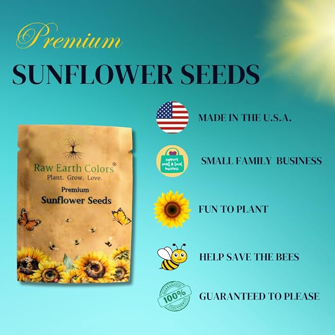 Dwarf Sunflower Seeds for Planting - to Plant and Grow Teddy Bear and Sunspot in Your Flower Garden.