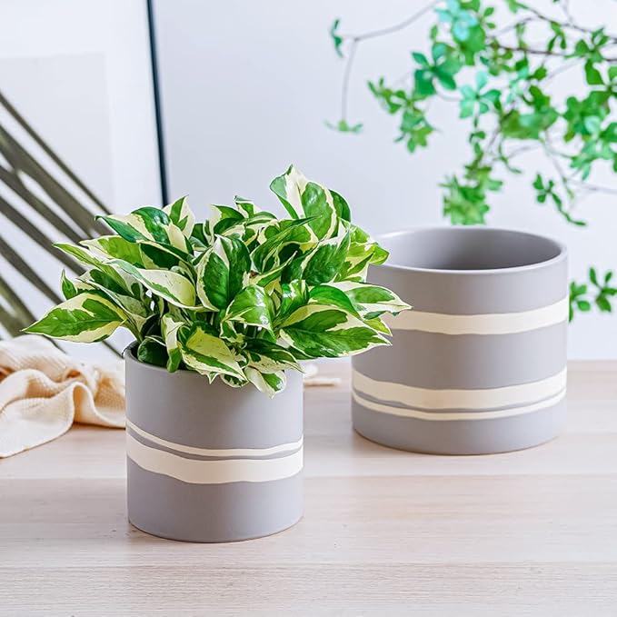 Nihow Modern Ceramic Plant Pot - 5 + 7 Inch Flower Pot for All Indoor Plants - Sturdy Planter Pots with Drainage Hole & Rubber Plugs - Semi-Matte Gray & Nature - Plants Not Included