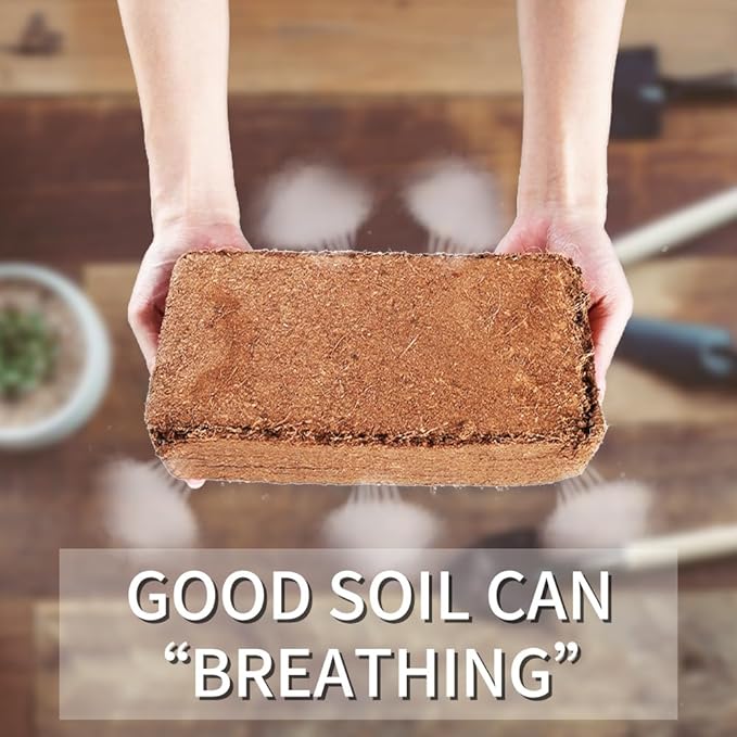 Coconut Coir Brick, 8 Pack 11.5 Pound Coconut Fiber Block, Organic Nutrition Soil for Plants and Flowers, Great Seed Bed (8)