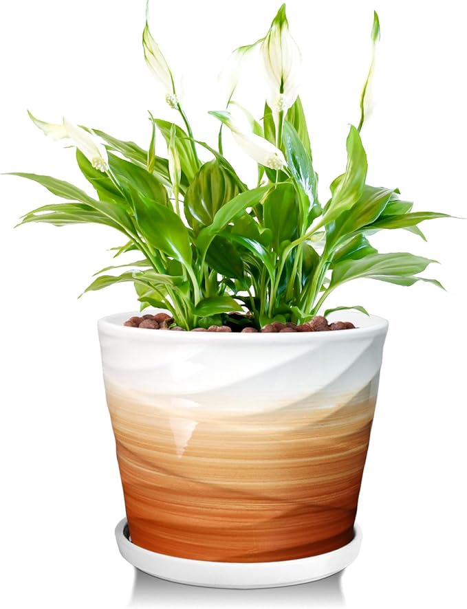 8 Inch Plant Pot, Ceramic Planter with Drainage and Saucer, Ceramic Pots for Plants, Indoor Plant pots,Ceramic Flower pots，Modern Planter(Khaki + White)