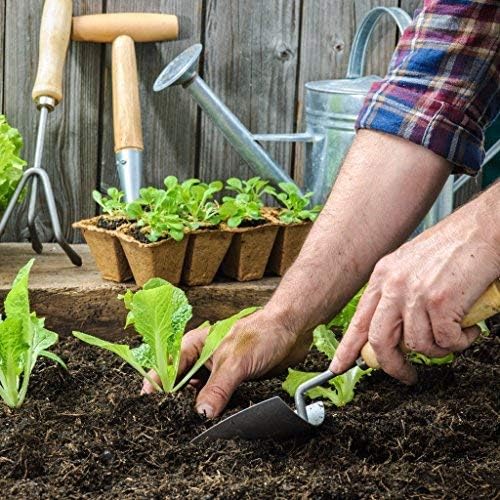 Daniel's Plants 2" Naked Pots | Natural Plantable Seed Starter Trays | OMRI-Listed Biodegradable Tray For Seedlings | Enhanced Drainage & Aeration | Earth Friendly - Peat Free | 100 Pack 2 Inch Square