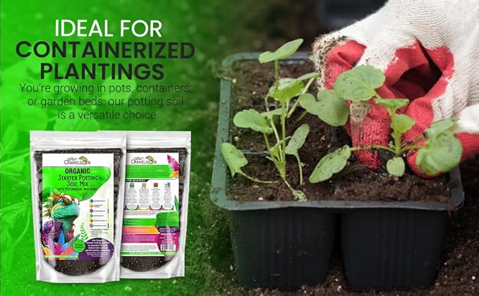 Organic Seed Starter Soil – Seed Starting Mix with Mycorrhizal Fungi – Natural Root Stimulator – Potting Soil for Vegetables and Herbs (1 Quart)