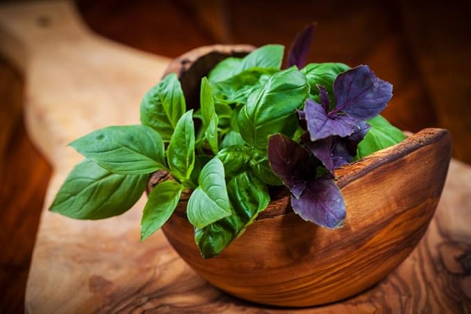Basil Seed Mix Herb Garden Seeds for Planting 500+ Seeds