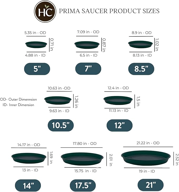 The HC Companies 10.5 Inch Round Prima Plastic Plant Saucer - Indoor Outdoor Plant Trays for Pots - 10.63 Inchx10.63 Inchx1.26 Inch in Evergreen