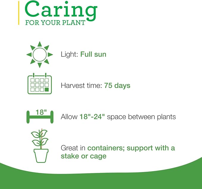 Bonnie Plants Snacking Red Pepper 19.3 oz. 4-pack