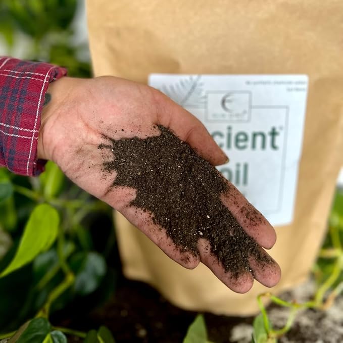 Elm Dirt Premium Ancient Soil for All Plants - Organic Plant Soil for Outdoor Plants & Indoor Plant Soil | Garden Soil for Plant Nutrients Growth & Protect your Plants Bugs - Roots Organic Soil (6lbs)