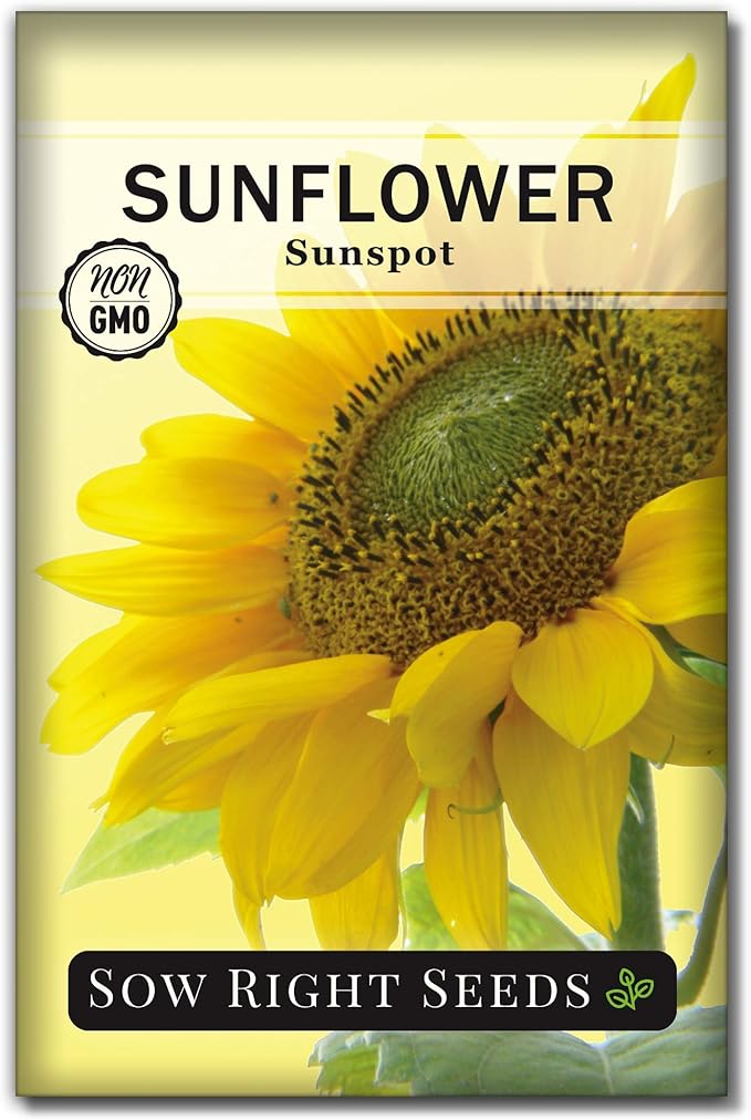 Sow Right Seeds - Sunspot Sunflower Seeds for Planting - Grow Giant Sunflowers in Your Garden - Non-GMO Heirloom Packet Instructions for Growing - Outdoor Sunflower Garden - Bright Yellow Blooms(1)
