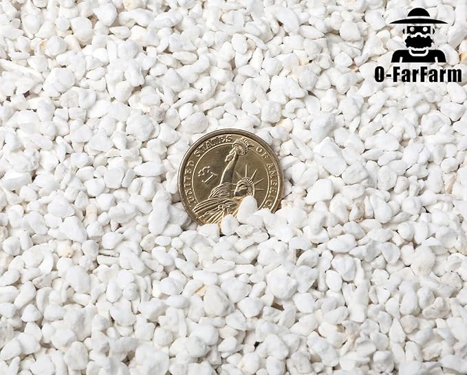 Chunky Perlite Bulk 5Qt, Horticultural Pearlite Coarse Perlite for Plants Indoor, Additive Conditioner Mix, Improve Drainage and Ventilation, Help Root Growth(4-8mm)