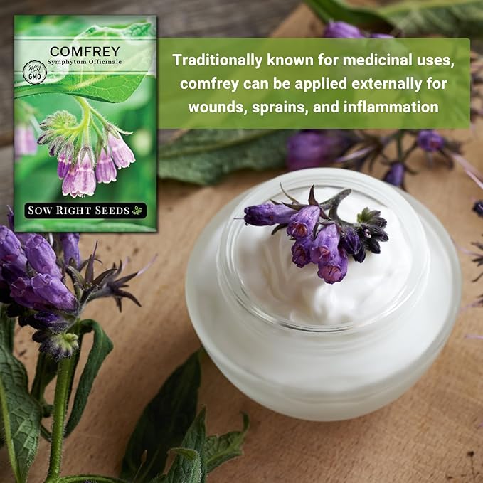 Sow Right Seeds - Comfrey Seeds for Planting - Non-GMO Heirloom Packet with Instructions to Plant an Outdoor or Indoor Herb Garden - Roots & Leaves for Home Remedies - Medicinal Salve, Oil, Tea (2)