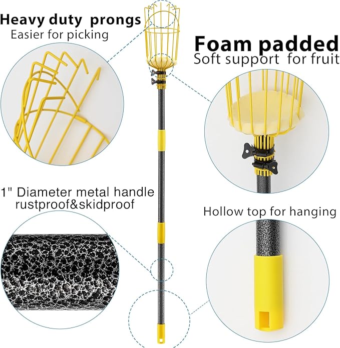 Fruit Picker Pole with Basket Telescopic Pole, 5ft Extendable Fruit Catcher Picking Pole Garden Tools for Picking Fruit from High Apple Cherry Orange Mango Fig Lemon Avocado Fruit Trees