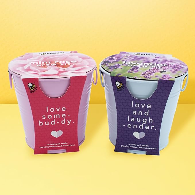 Buzzy Seeds Painted Love Pails | Flower & Herb Starter Kit for Kids & Adults | 2-Pack | Mini Rose and Lavender Seeds | Guaranteed to Grow | Best Indoor Grow Your Own Plant Gardening Gift