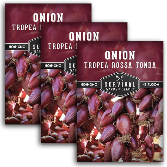 Tropea Rossa Tonda Onion Seeds for Planting - 3 Packets with Instructions to Plant and Grow Italian Long Day Onions in Your Home Vegetable Garden - Non-GMO Heirloom Variety - Survival Garden Seeds