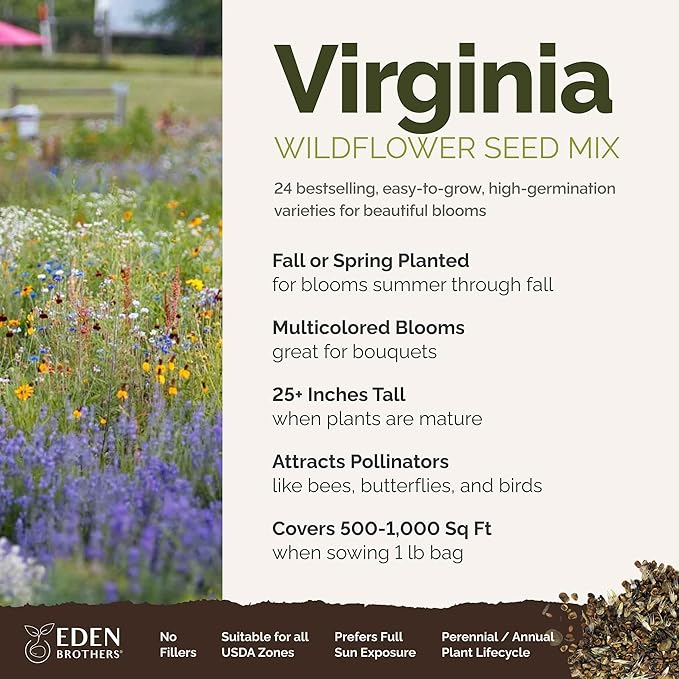 Eden Brothers Virginia Wildflower Mixed Seeds for Planting, 1 lb, 480,000+ Seeds with Five Spot, African Daisy | Attracts Pollinators, Plant in Spring or Fall, Zones