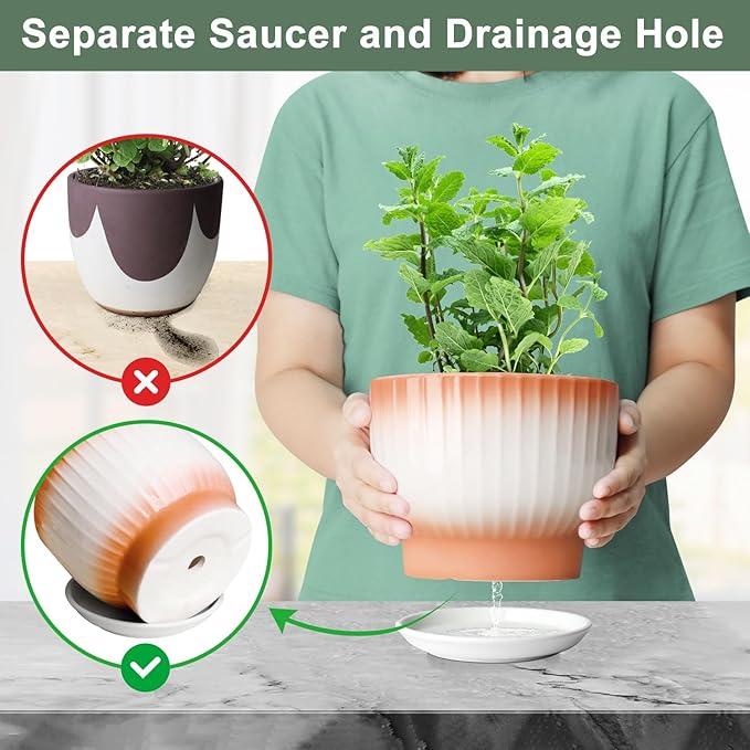 6.7 + 5.5 Inch Plant Pot, Ceramic Planter with Drainage and Saucer, Ceramic Pots for Plants, Indoor Plant pots,Ceramic Flower pots（Orange + White, Plants NOT Included）
