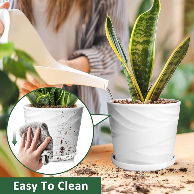 8 Inch Plant Pot, Ceramic Planter with Drainage and Saucer, Ceramic Pots for Plants, Indoor Plant pots,Succulent Orchid Flower Pot(Pure White)