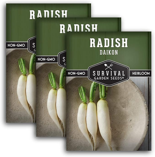 Survival Garden Seeds - Daikon Radish Seed for Planting - 3 Packs with Instructions to Plant and Grow Japanese Radish Vegetables in Your Home Vegetable Garden - Non-GMO Heirloom Variety