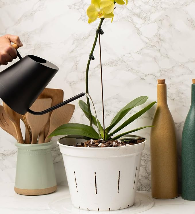 rePotme Orchid Pot -10 inch Slotted Clear Plant Pots - 3 Pack (Crystal Clear)