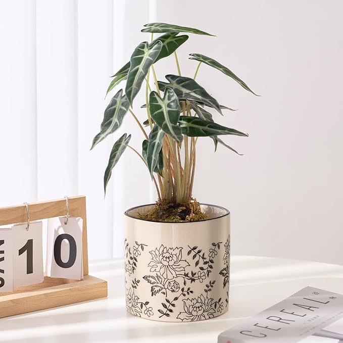 Indoor Ceramic Plant Pots with Drainage Holes 5 Inch Cute Succulent Flower Pots Small Orchid Planter Pots for Indoor Plants Garden Pots, Peony