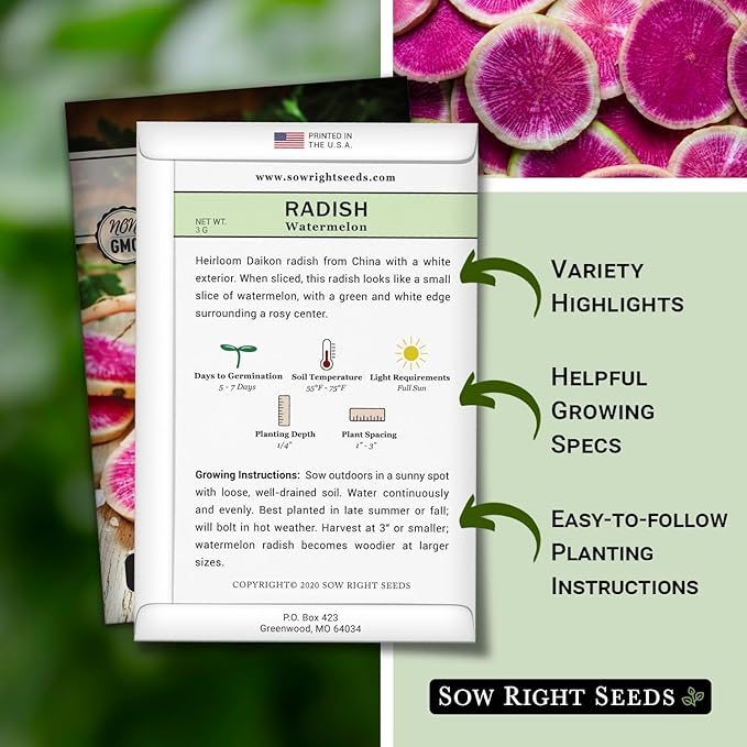 Sow Right Seeds - Watermelon Radish Seed for Planting - Non-GMO Heirloom Packet with Instructions to Plant a Home Vegetable Garden - Unique & Rare Veggie, Watermelon-Like Coloring When Cut (1)