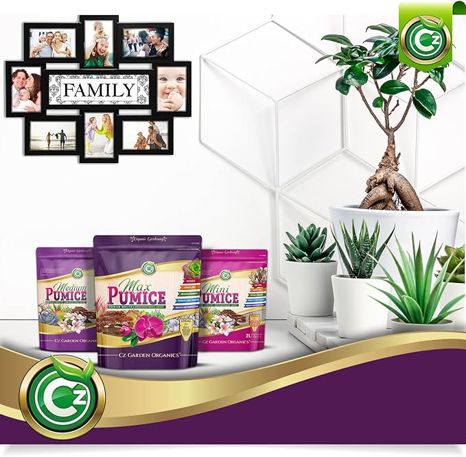 Pumice Stone Grow Media - Made in USA for Bonsai • Succulents • Cactus • Orchids - Horticultural Soil Amendment Additive Conditioner for Indoor and Outdoor Plants and Flower Gardens. OMRI Listed