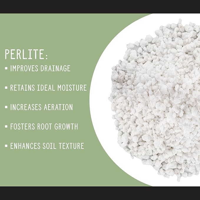 Horticultural Perlite Soil Additive (8 Quarts); for Enhanced Potting Mix Drainage and Growth