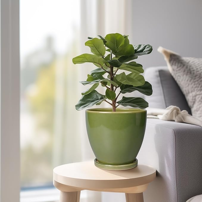 Ceramic Planters for Indoor Plants - 6 Inch Plant Pot with Drainage Hole and Saucer Round Modern Flower Pot Home Garden Patio Decor Green