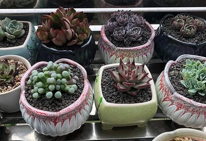 5lb Black Horticultural Lava Rock Soil Additive for Cacti, Vase Fillers, Succulents and Terrarium Plants - No Dyes or Chemicals - 100% Pure Volcanic Rock