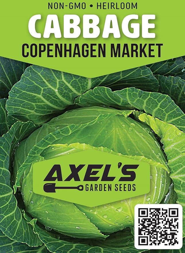 Cabbage Seeds for Planting – Non-GMO Heirloom Vegetable Seeds – Full Instruction Packets to Plant in Your Home Outdoor Garden – Gardening Gift – 200 Copenhagen Cabbage Seeds Per Pack (2 Packets)