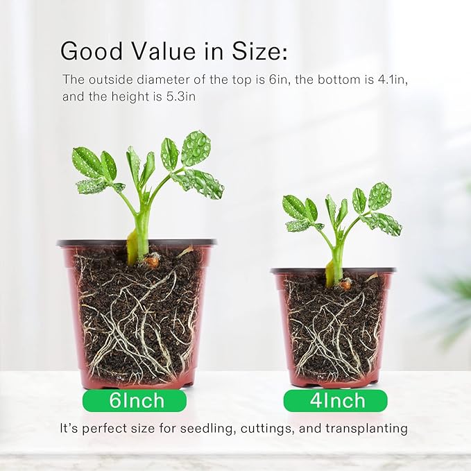 VIVOSUN 50 Pcs 6 Inch Plastic Plant Nursery Pots, Seed Starting Pot, Flower Plant Container for Seedlings, Cuttings, Transplanting