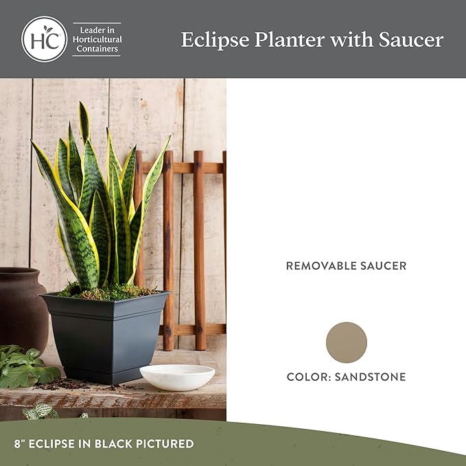 The HC Companies 8 Inch Eclipse Square Planter with Saucer – Indoor Outdoor Plant Pot for Flowers Vegetables Herbs, Sandstone (Pack of 4)