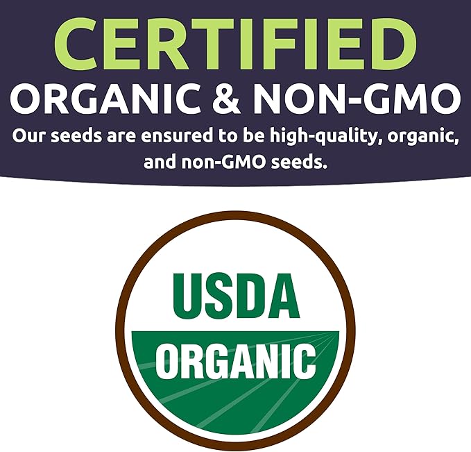 Organic Shishito Pepper Seeds – Two Seed Packets! – Approx 25 Open Pollinated Non-GMO Seeds Per Packet (50 Total) – Sweet Yards Seed Co.