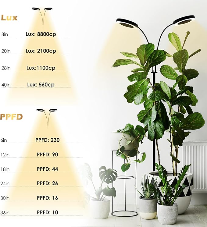 GLOWRIUM Grow Light with Stand,2-Head LED Plant Light for Indoor Plants, Full Spectrum Grow Lamp, 3/9/12H Timer, 6 Dimmable Levels, 3 Lighting Mode, Adjustable Height