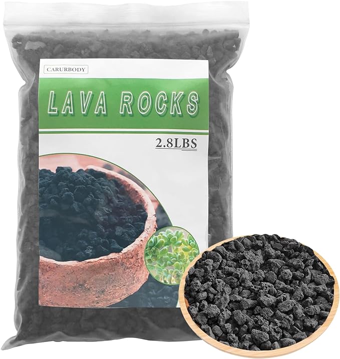 Black Lava Rocks for Plants -100% Pure Volcanic Rock No Dyes or Chemicals-Best Lava Stones Top Dressing for Cacti Succulents Plants,Bonsai