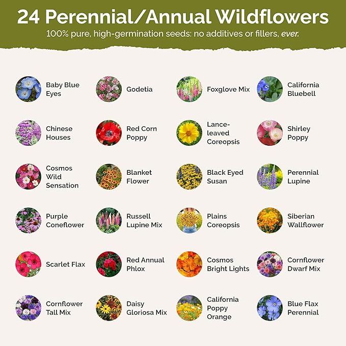 Eden Brothers Idaho Wildflower Mixed Seeds for Planting, 1 lb, 480,000+ Seeds with Foxglove, Cosmos | Attracts Pollinators, Plant in Spring or Fall, Zones