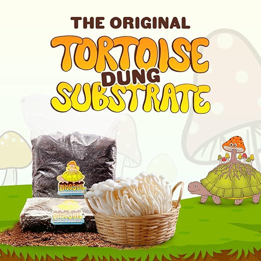 Tortoise Dung Substrate DinoSoil - Coir Blend with Coffee, Vermiculite, Gypsum, Earthworm Castings for Fast Colonization & Mushroom Growth (3lb)