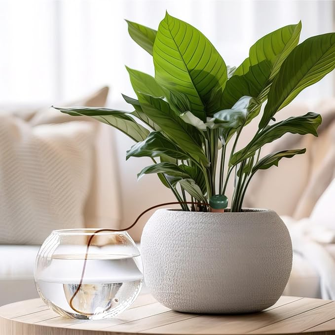 Blumat Classic Plant Watering Stakes - Self-Watering Insert for Indoor and Outdoor Plants - Automatic Slow Release Irrigation System for Potted Plants - Houseplant Care Device (3 Packs)