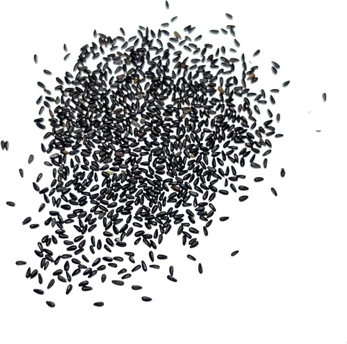 Seed Needs Lemon Balm Seeds for Planting - Non-GMO, Heirloom & Untreated Perennial Medicinal Herb - Plant Indoors/Outdoors Used for Making Calming Tea (5 Packs)