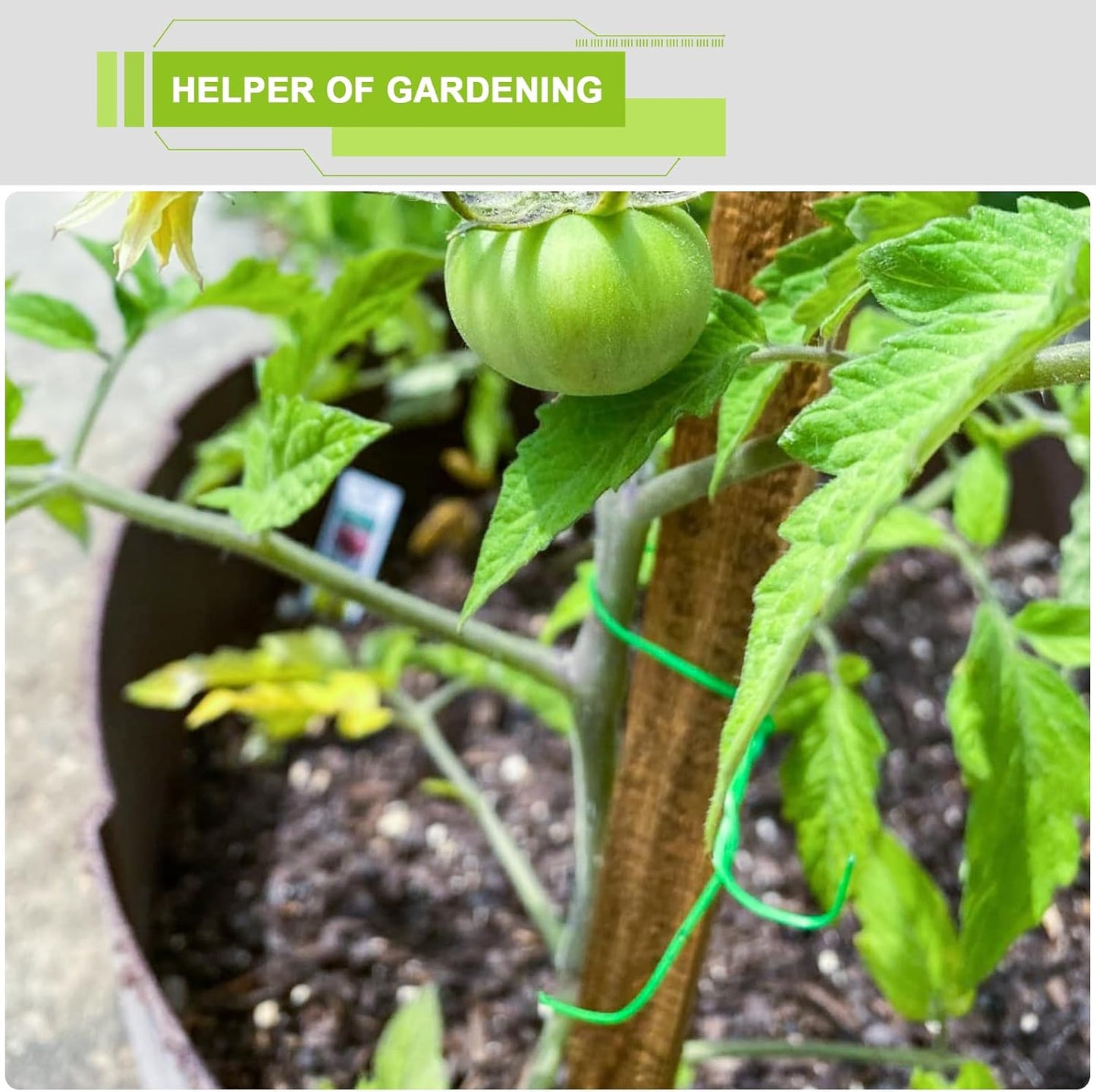 656ft/200m Twist Ties for Plants, Garden Twine for Climbing Plants & Outdoor Use, UV Resistant Plant Ties with Cutter, Garden Wire/String/Ties for Vines, Shrubs, Home & Office Organizing