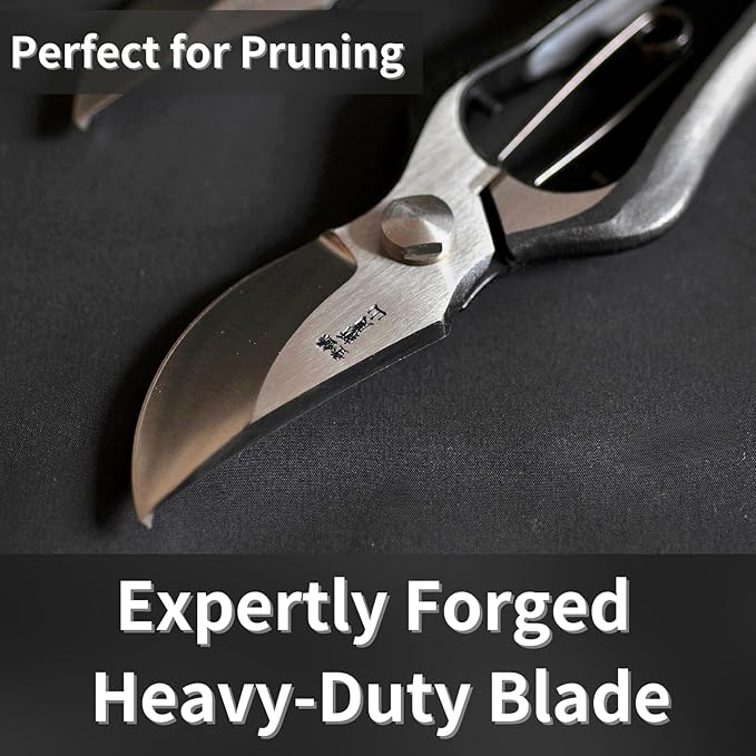 Japanese Pruning Shears for Gardening 8”, Professional Heavy Duty Bypass Pruners, Hand Forged Japanese Carbon Steel Blade, Spring Loaded Handle, Made in Japan