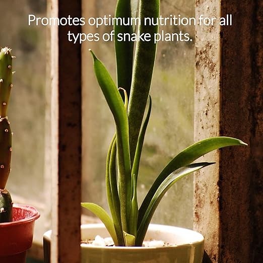 Professional Liquid Snake Plant Fertilizer | 3-1-2 Concentrate for Plants and Flowers | Multi-Purpose Blend & Gardening Supplies | 8 oz Bottle