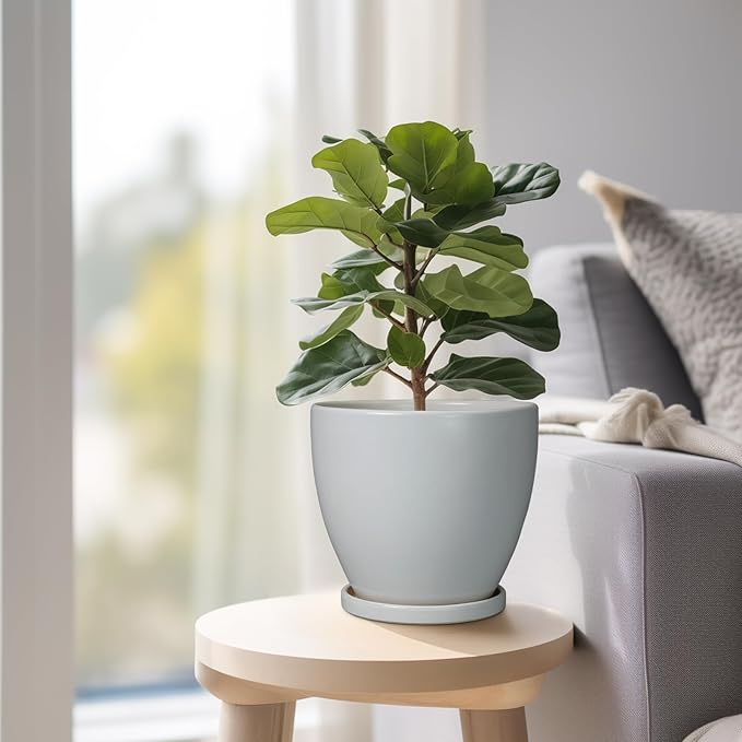 6 Inch Planter - Ceraimc Pots for Indoor Outdoor Plants Round Planters Modern Flower Pot with Drainage and Tray Home Garden Decor Brown