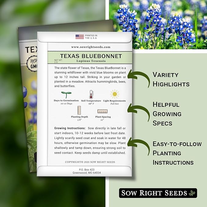 Sow Right Seeds - Texas Bluebonnet Seeds to Plant - Non-GMO Heirloom Seeds -Full Instructions for Planting - Beautiful Perennial Blue Blooms -Sweet Addition to Your Yard (4)